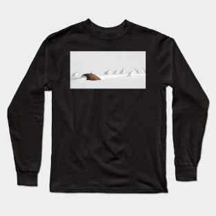 Ptarmigans, Churchill, Canada Long Sleeve T-Shirt